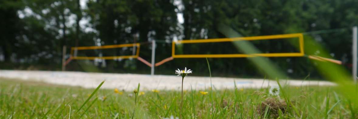 Beachvolleyballfeld am Ruggebusch